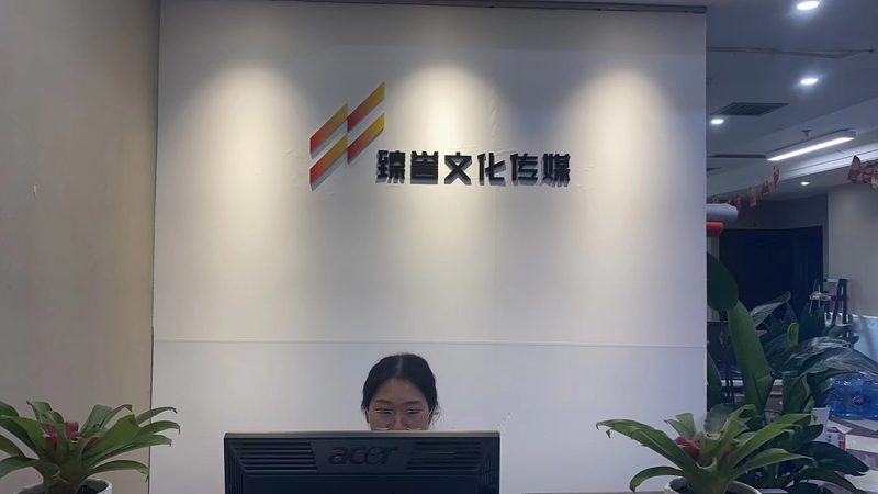 品牌策划方案：解码其优缺点，助力企业精准决策