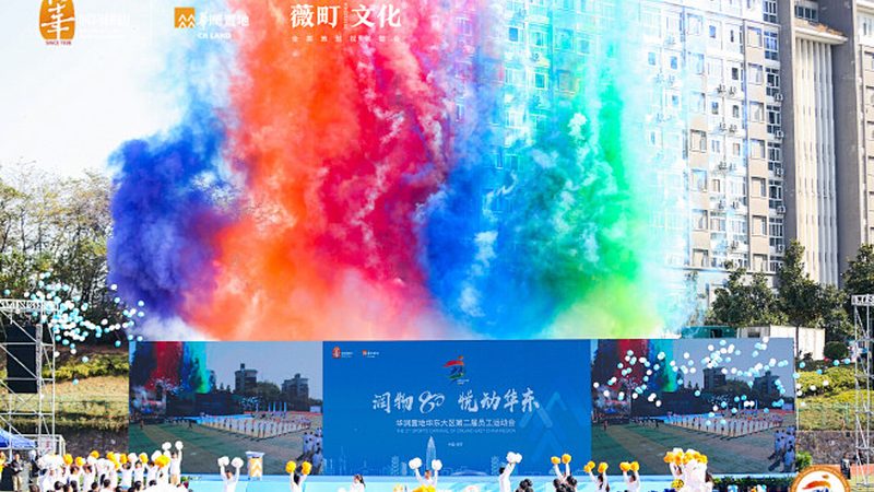 纪录片拍摄优缺点分析：揭秘真实影像背后的挑战与机遇